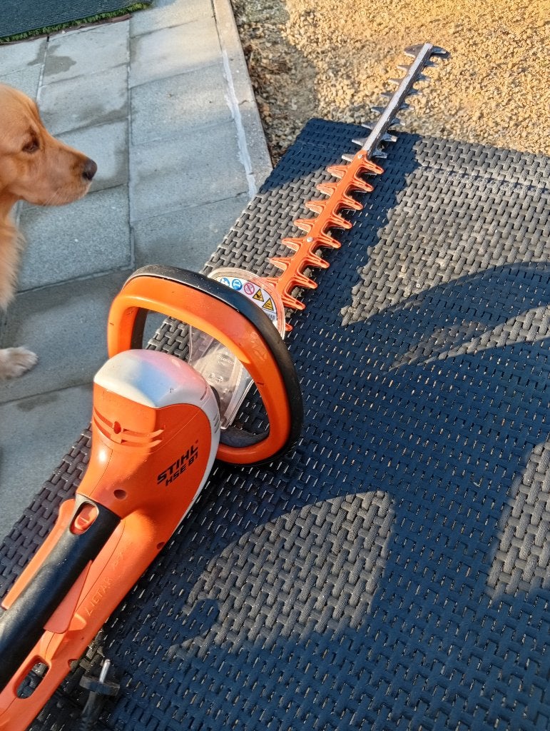 Taille haie sthil, Enlèvement, Utilisé, Électrique, Stihl