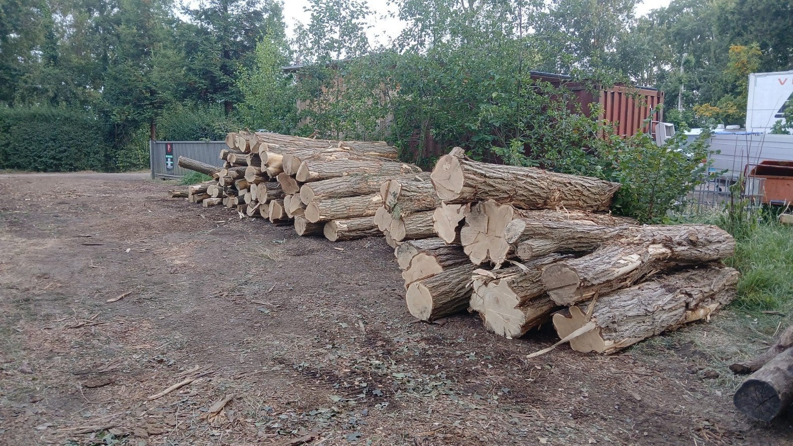 acacia planken of balkjes., Ophalen, Plank