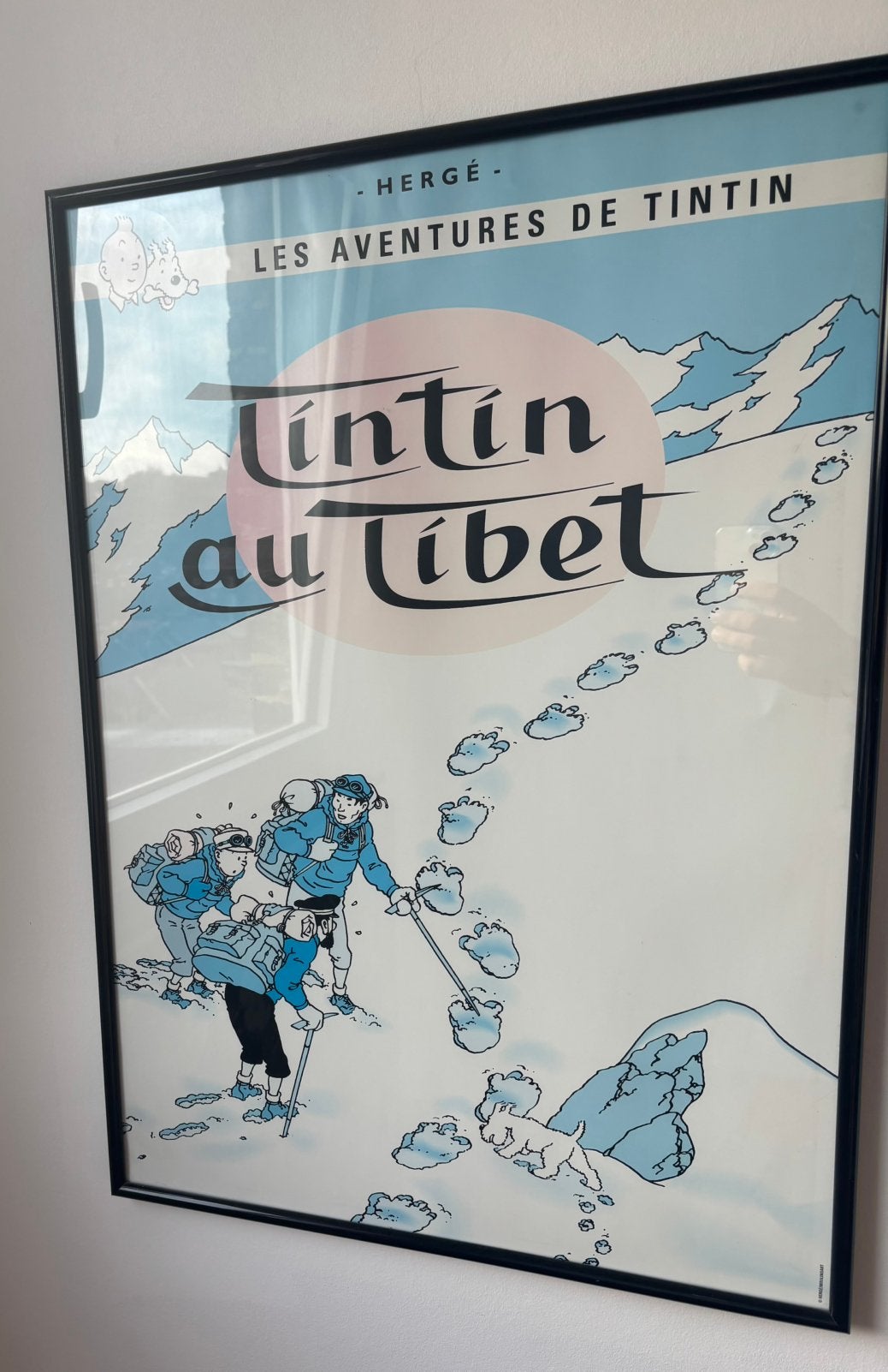 Cadre Tintin, Enlèvement, Utilisé, Rectangulaire vertical