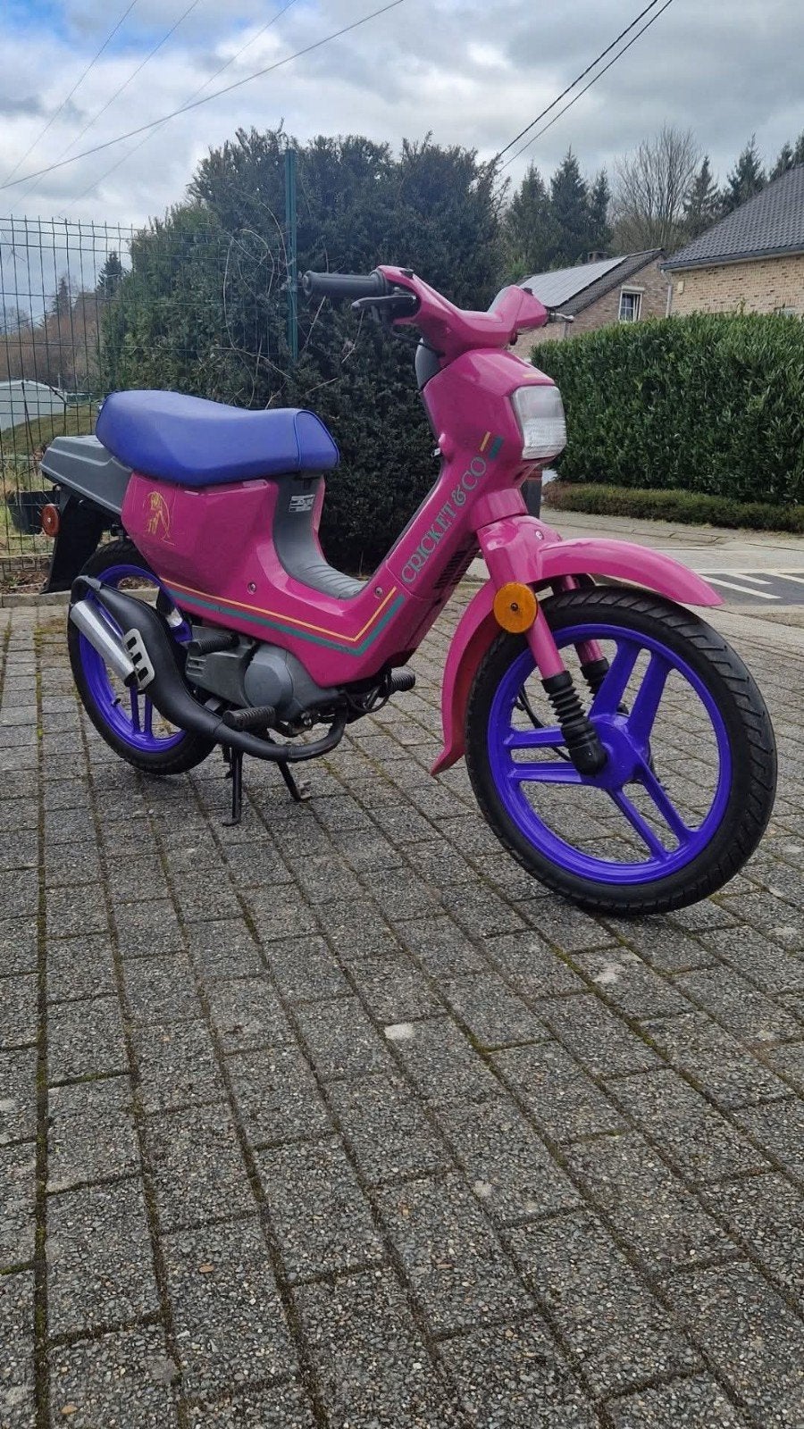 wallaroo cricket&co, Enlèvement ou Envoi