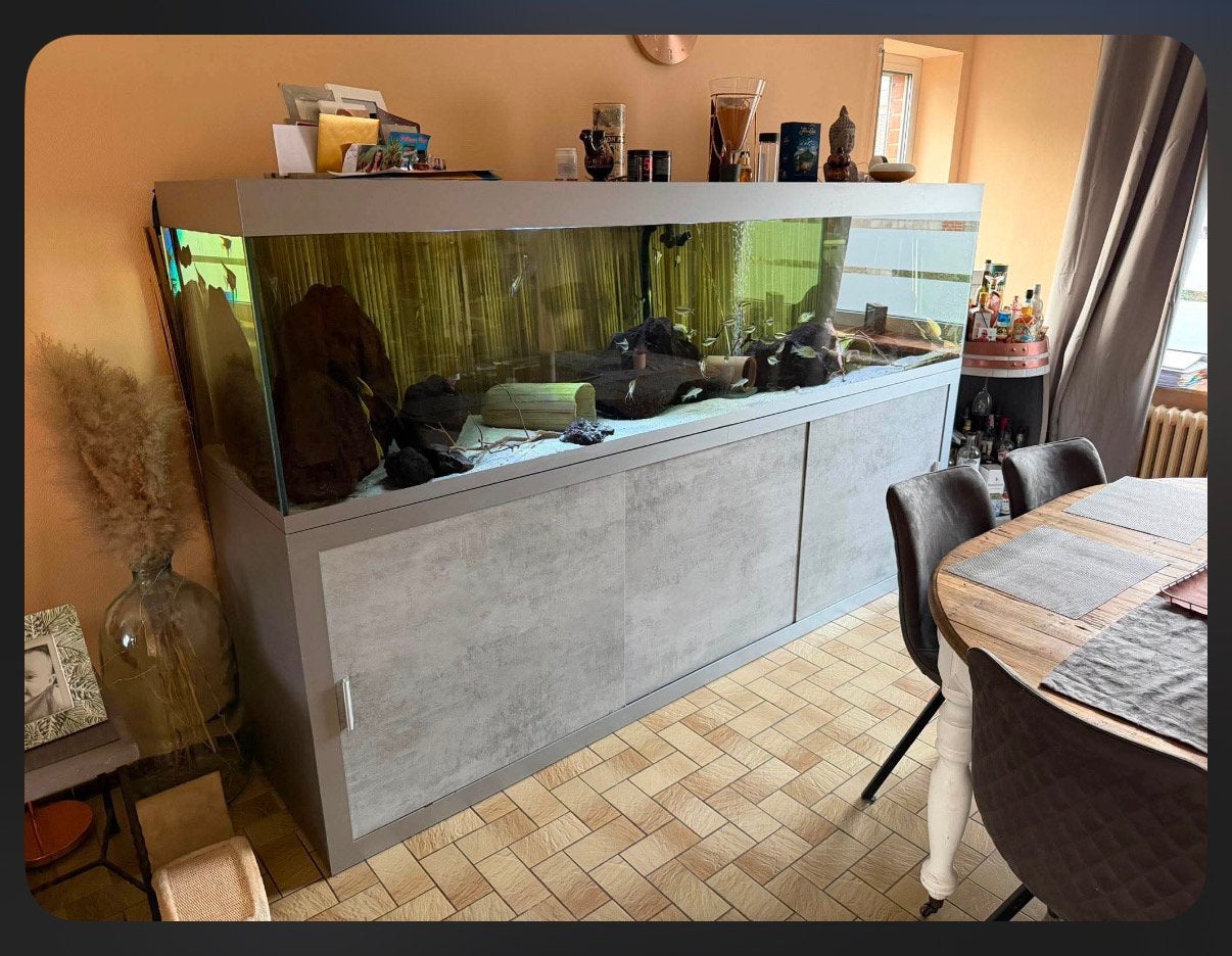 Aquarium 270x65x70, Animaux & Accessoires, Poissons | Aquariums & Accessoires, Comme neuf, Aquarium d'eau douce rempli, Autres marques