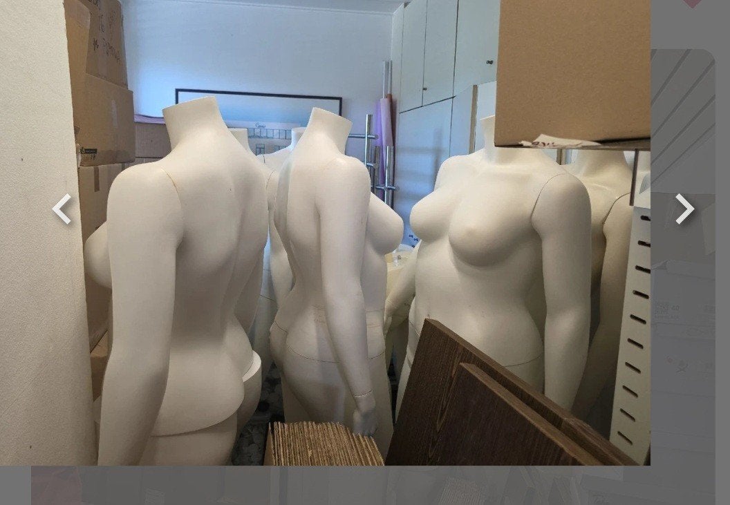 Lot de mannequins de vitrine, Enlèvement