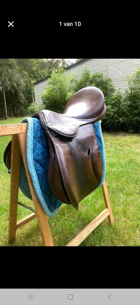 Zadel  Zaldi, Animaux & Accessoires, Enlèvement