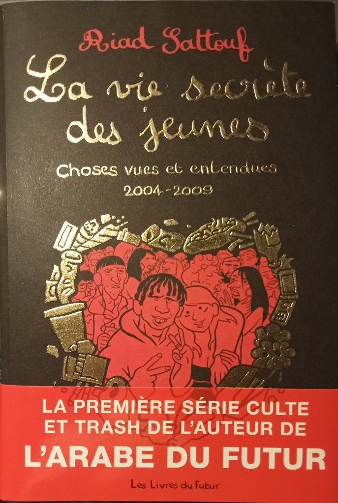 La vie secrète des jeunes, Livres, BD, Riad Sattouf, Une BD, Enlèvement, Utilisé