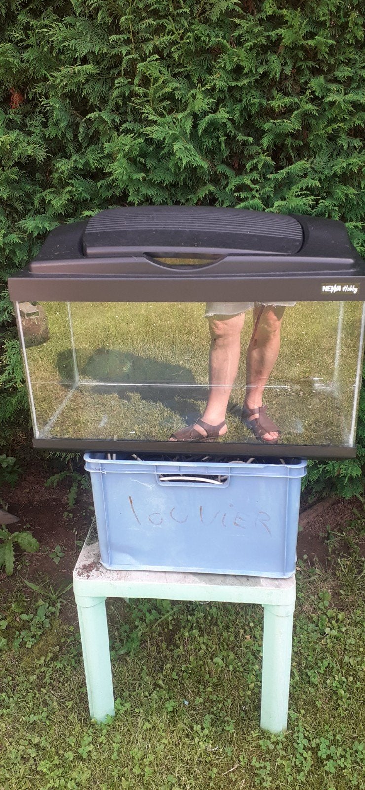 aquarium ou vivarium  60 l, Ophalen, Gebruikt, Leeg aquarium, Overige merken