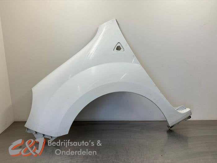 Aile avant gauche d'un Renault Kangoo, Autos : Pièces & Accessoires, Renault, -, 3 mois de garantie, Utilisé