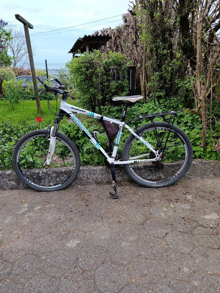 Vélo Femme Diamond, Fietsen en Brommers, Gebruikt, Vering, Meer dan 20 versnellingen, Ophalen