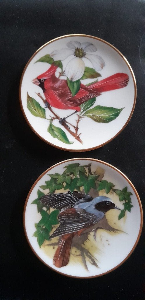 songbirds of the world, Antiquités & Art, Œuvre originale, Autres techniques, Enlèvement, Animaux