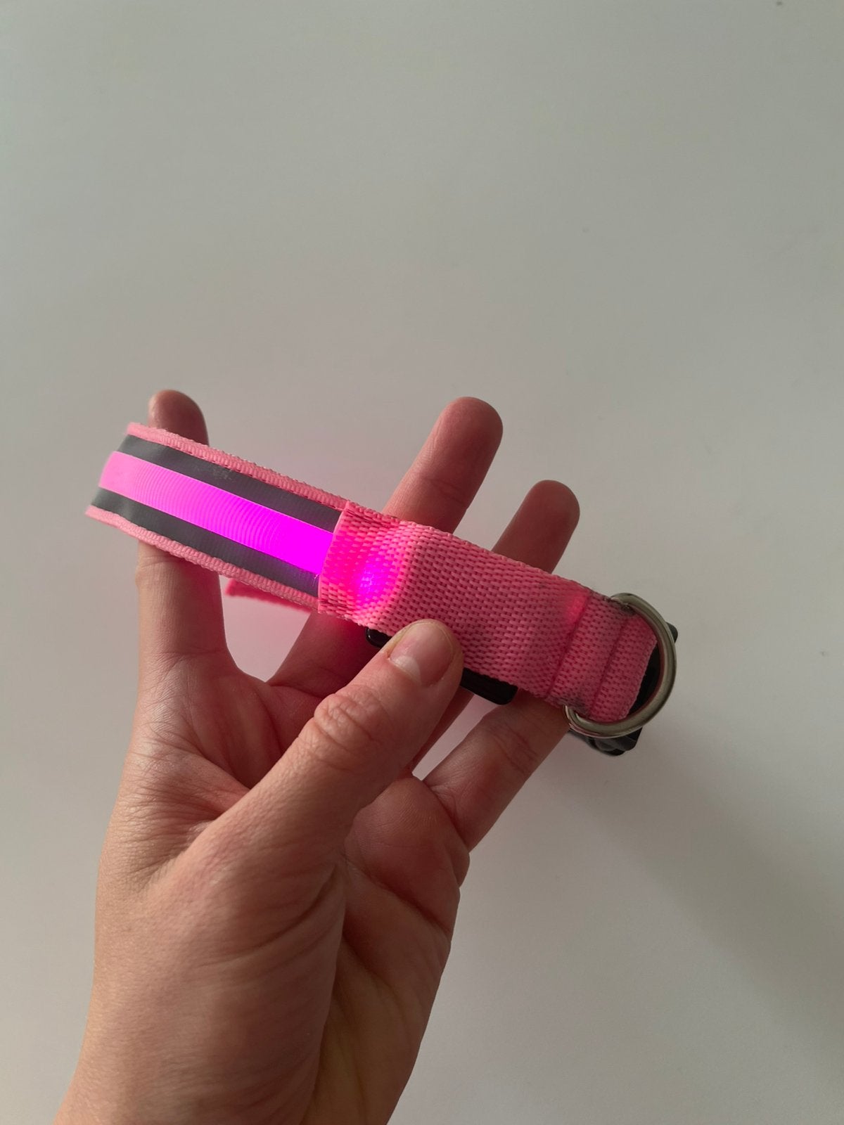 Collier pour chien avec lumières LED clignotantes, Enlèvement, Comme neuf, Collier