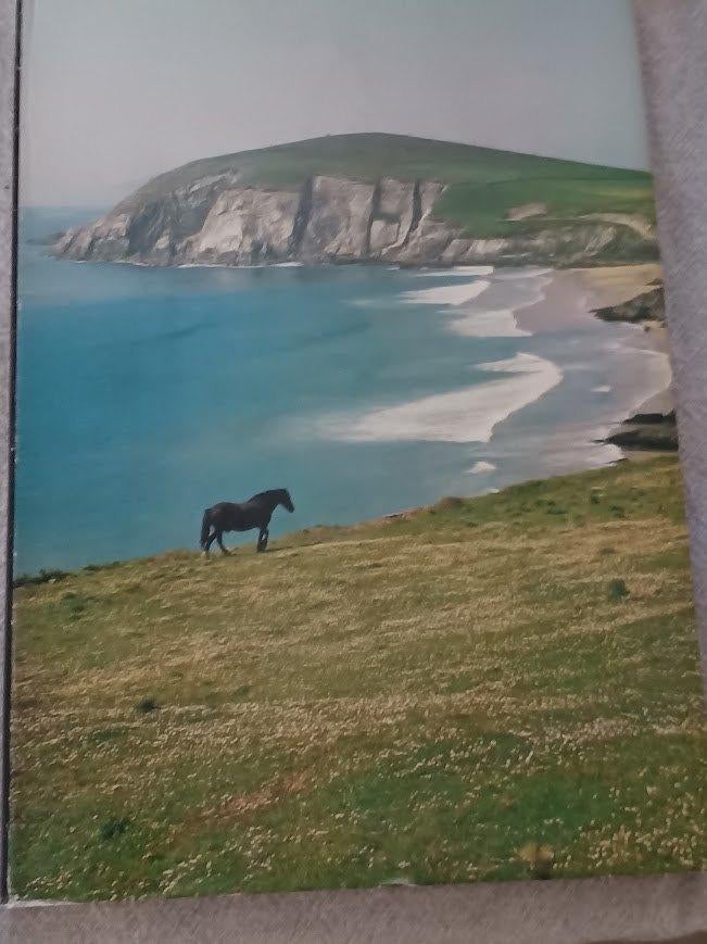 Artis Historia Ierland, Boeken, Prentenboeken en Plaatjesalbums, Ophalen of Verzenden, Zo goed als nieuw, Artis historia