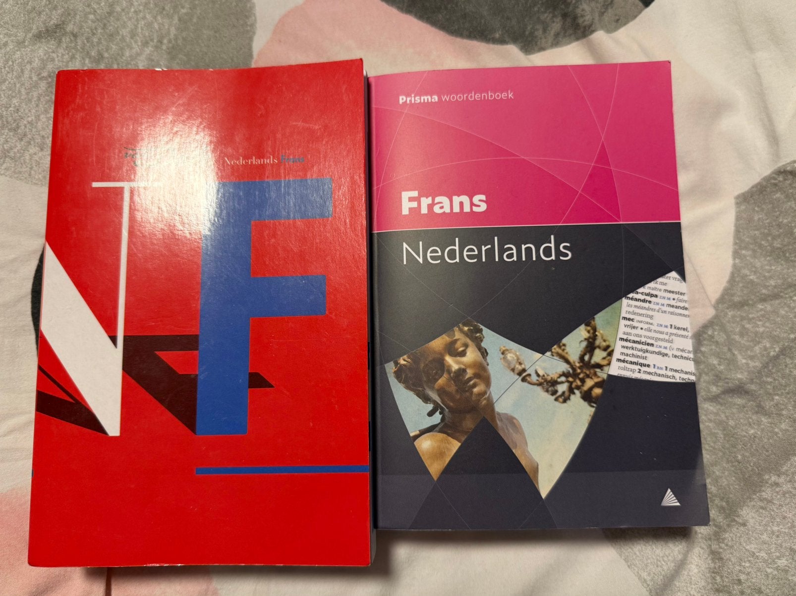 Set van 2 Franse Woordenboeken (Prisma & Van Dale Pocket), Livres, Enlèvement, Comme neuf, Van Dale, Français