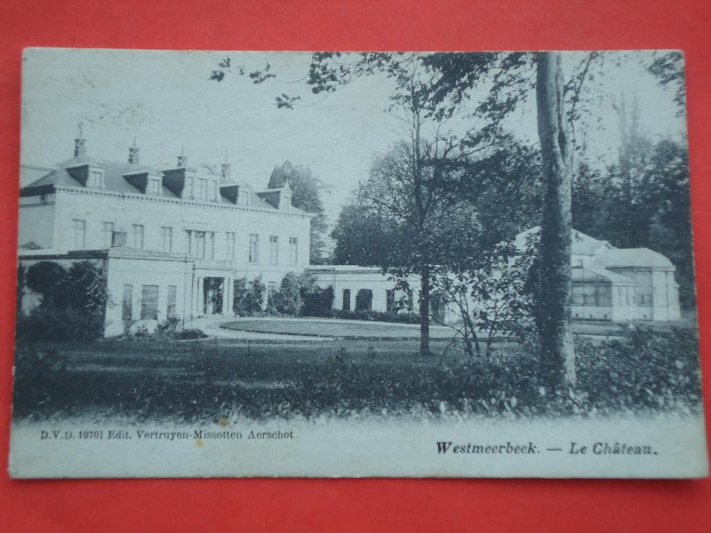 Wuustwezel - Westmeerbeek Le château, Ophalen of Verzenden, Voor 1920, Gelopen, Antwerpen