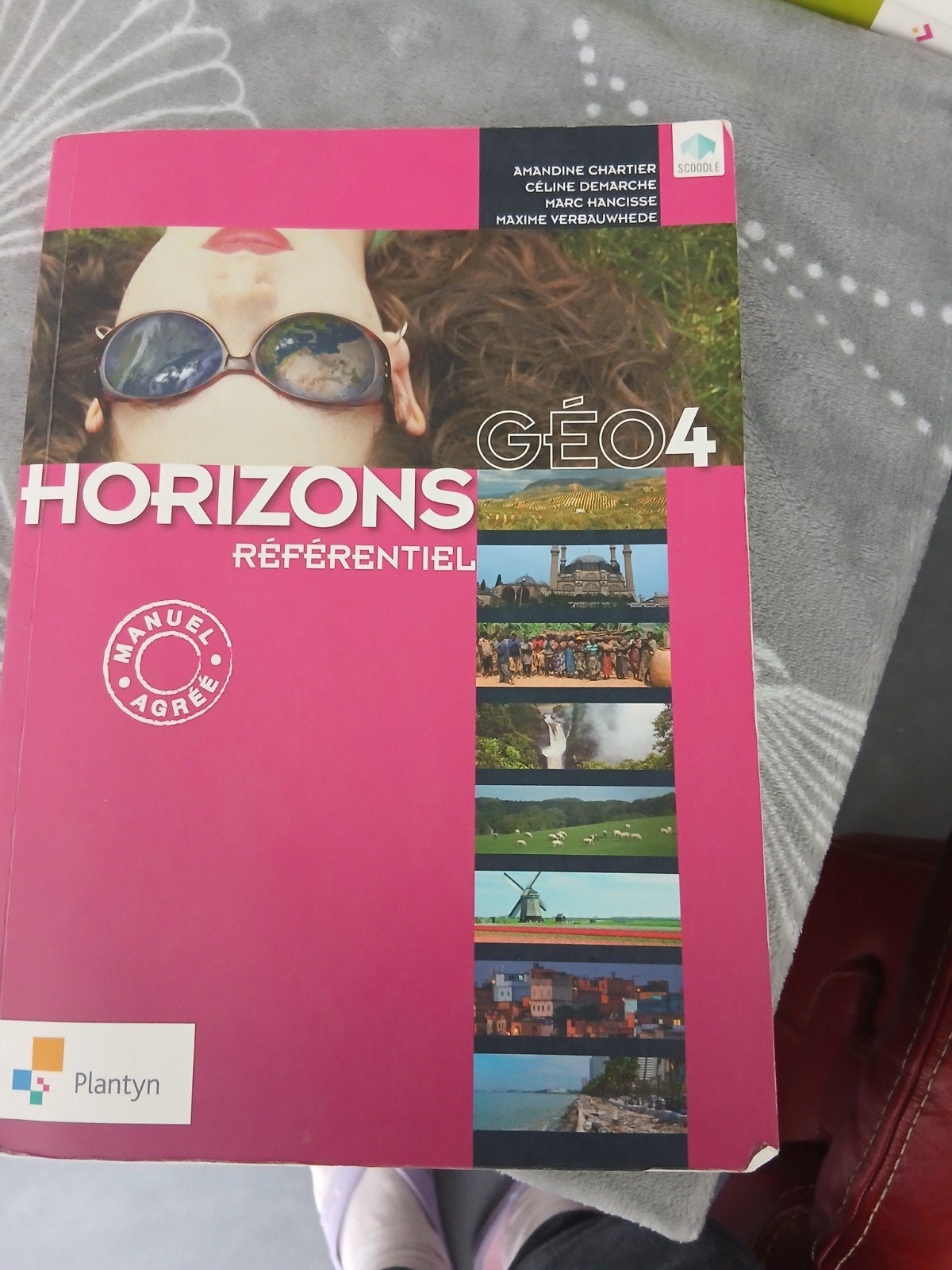 Manuel horizons référentiel Géo 4éme, Livres, Livres scolaires, Enlèvement ou Envoi, Géographie