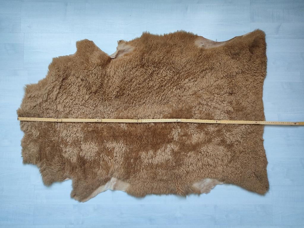 Peau de mouton véritable, Enlèvement, Utilisé