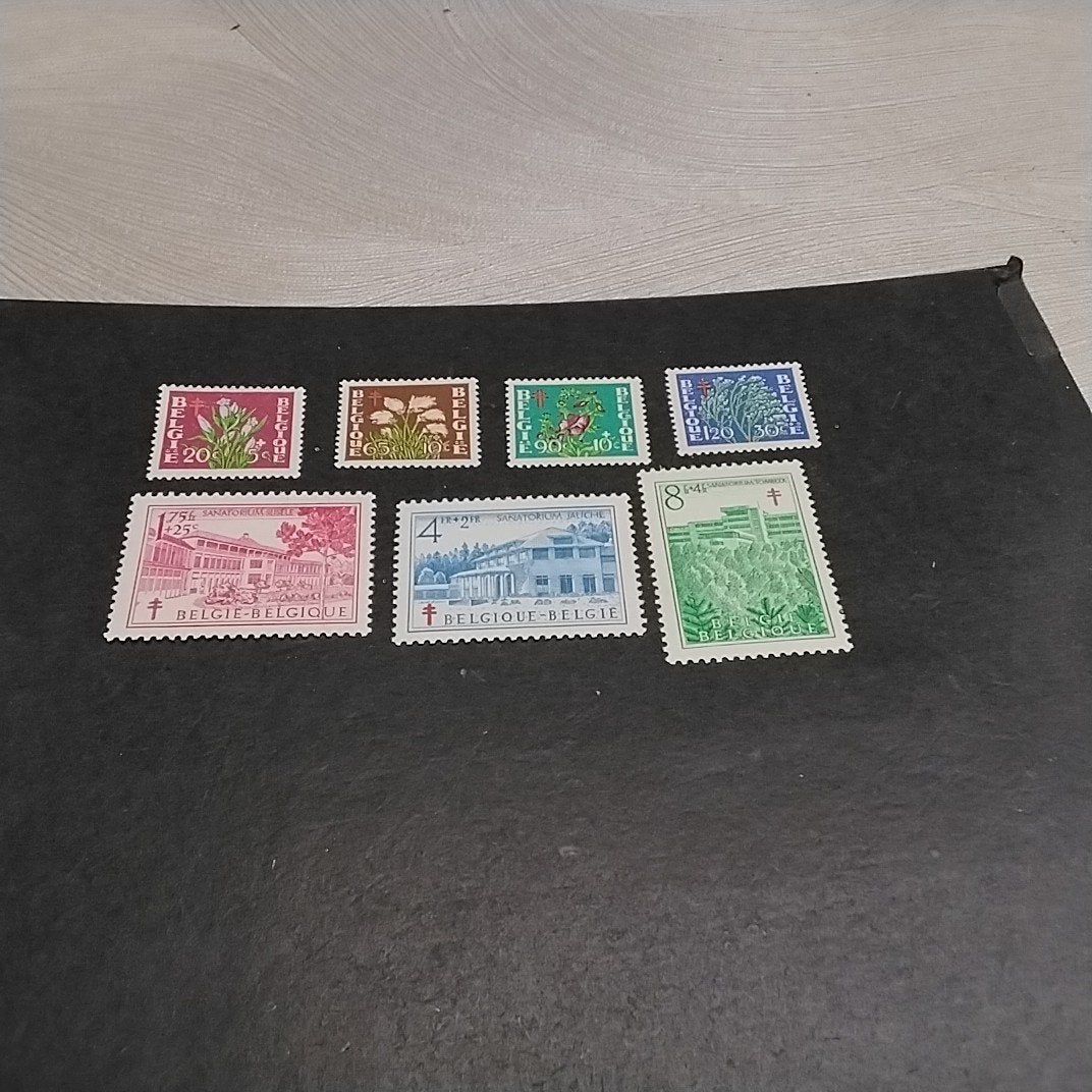BELGIQUE 834/840 menthe avec cote 54,00€, Enlèvement ou Envoi, Neuf