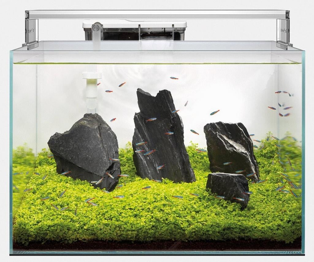Superfish aquascaper 45, Dieren en Toebehoren, Ophalen, Superfish