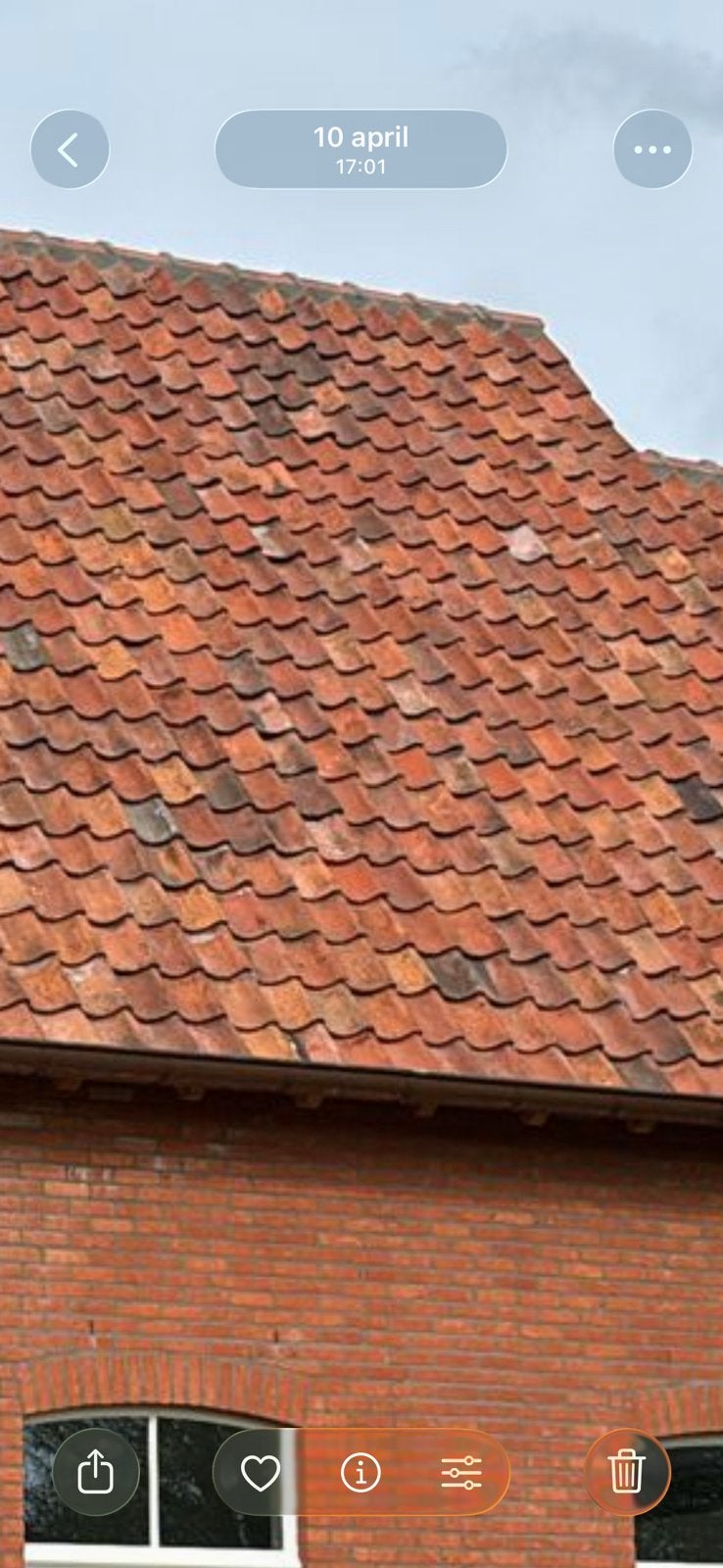 Oude boomse pannen rood, Doe-het-zelf en Bouw, Dakpannen en Dakbedekking, Ophalen, Gebruikt, Steen of Klei, Dakpannen