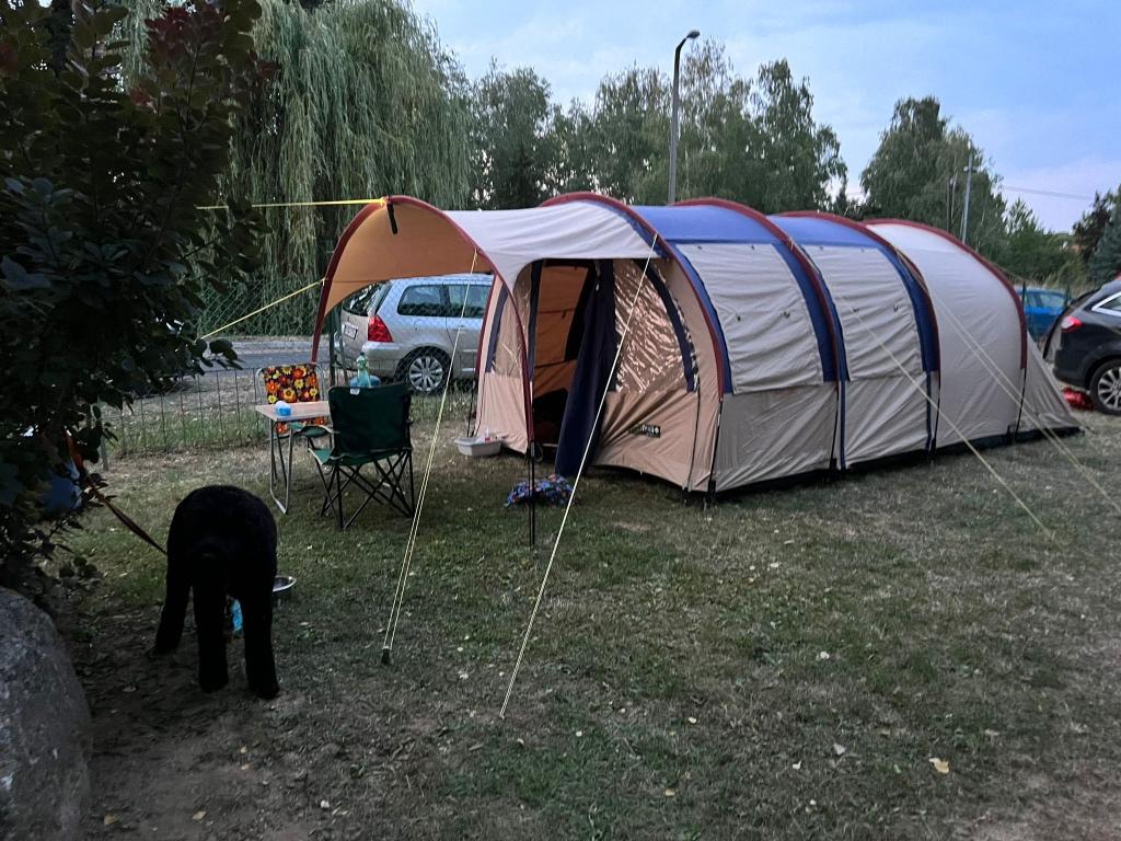 Quechue tent 6.2 XL, Caravans en Kamperen, Tenten, Ophalen, Gebruikt, Tot en met 4