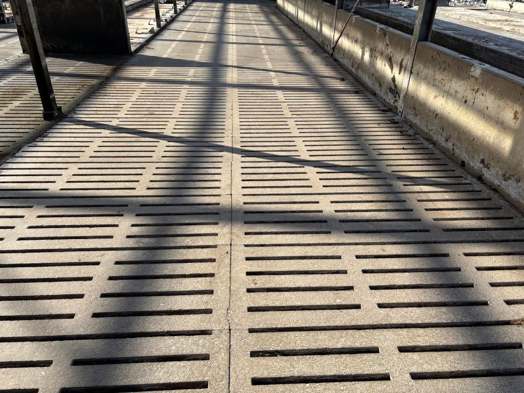 Veeroosters beton roosters erf verharding zwaans veeroosters