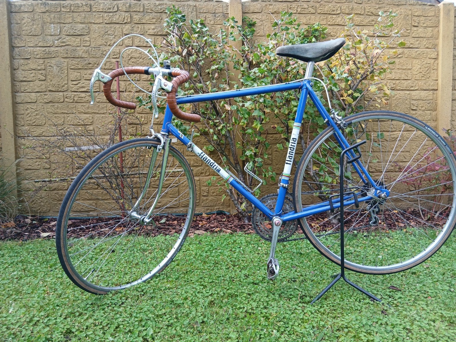 Flandria Freddy Maertens Editie 1975, Ophalen, Jaren '60 of nieuwer, Velgrem, 55 tot 59 cm