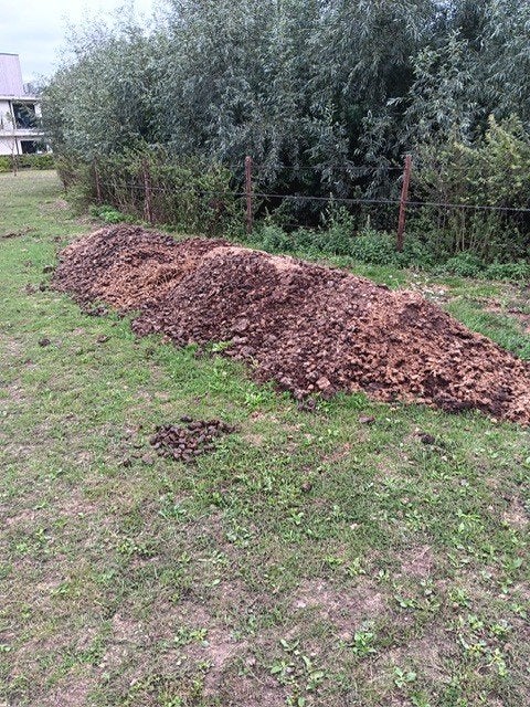Gratis paardenmest, Weidegang