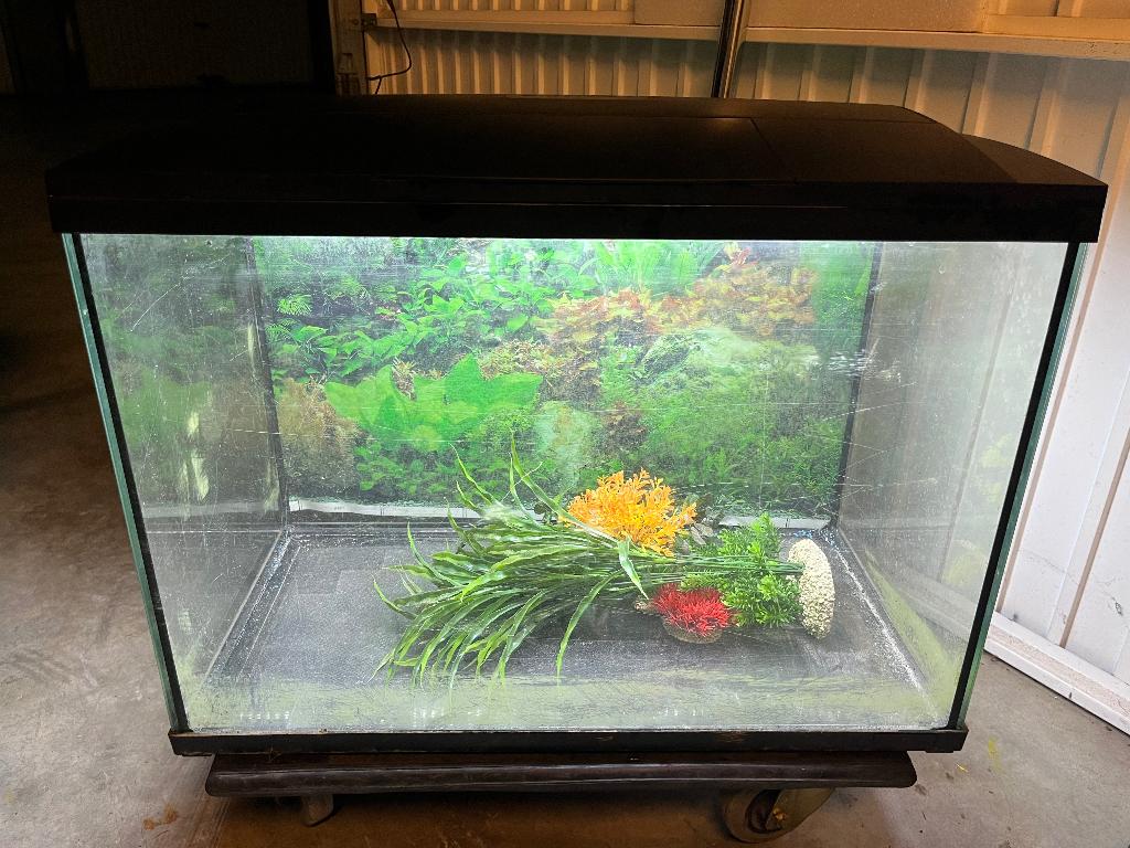 Aquarium superfish start 100, Aquarium vide, Enlèvement, Utilisé, Superfish