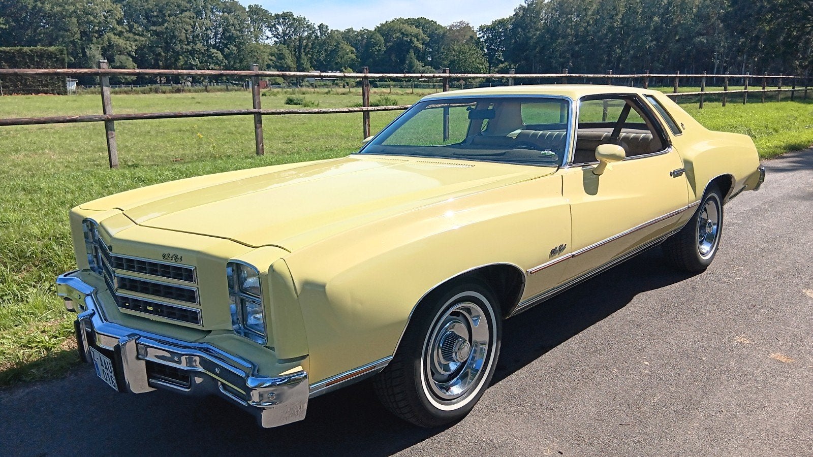 Chevrolet Monte Carlo 1976  - V8, Autos, Chevrolet, Autres modèles, Achat, Entreprise, Jaune