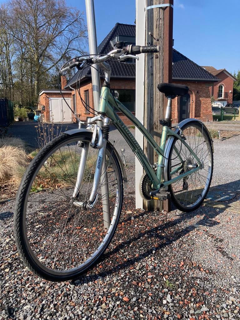 Damesfiets, Fietsen en Brommers, Overige merken, Velgrem, 47 tot 50 cm, Versnellingen