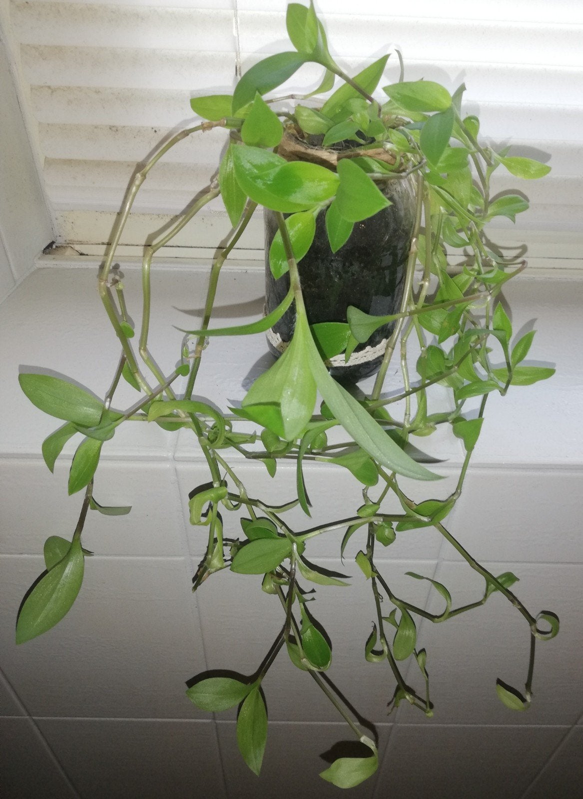 Groene ellende verhandelen of verkopen, Huis en Inrichting, Ophalen
