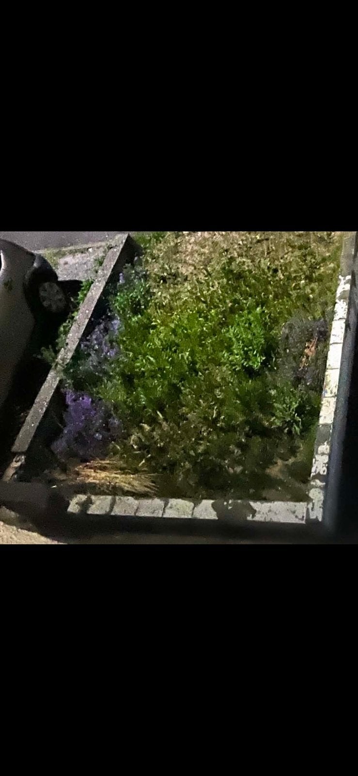 Terre a donner, Jardin & Terrasse, Enlèvement, Comme neuf