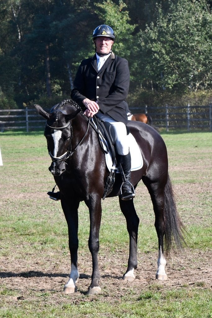 Mooie en karaktervolle 6jarige Merrie (v: henkie), Animaux & Accessoires, Cheval de dressage, Avec pedigree, B, 165 à 170 cm