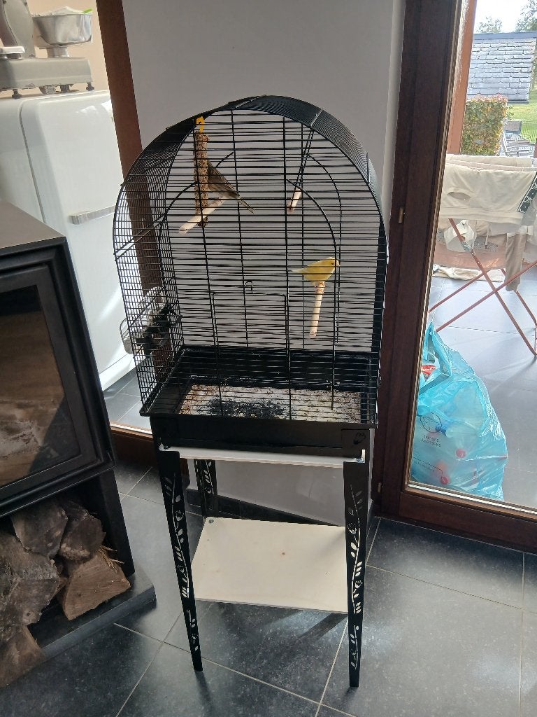 Cage avec pied +2 oiseaux, Animaux & Accessoires, Enlèvement, Comme neuf, Cage à oiseaux