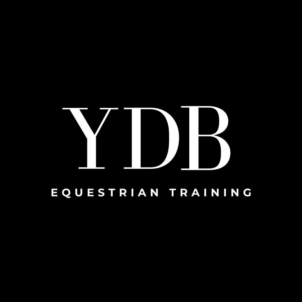 Lesgever/trainer/coach in de paardensport, Dieren en Toebehoren, Paarden