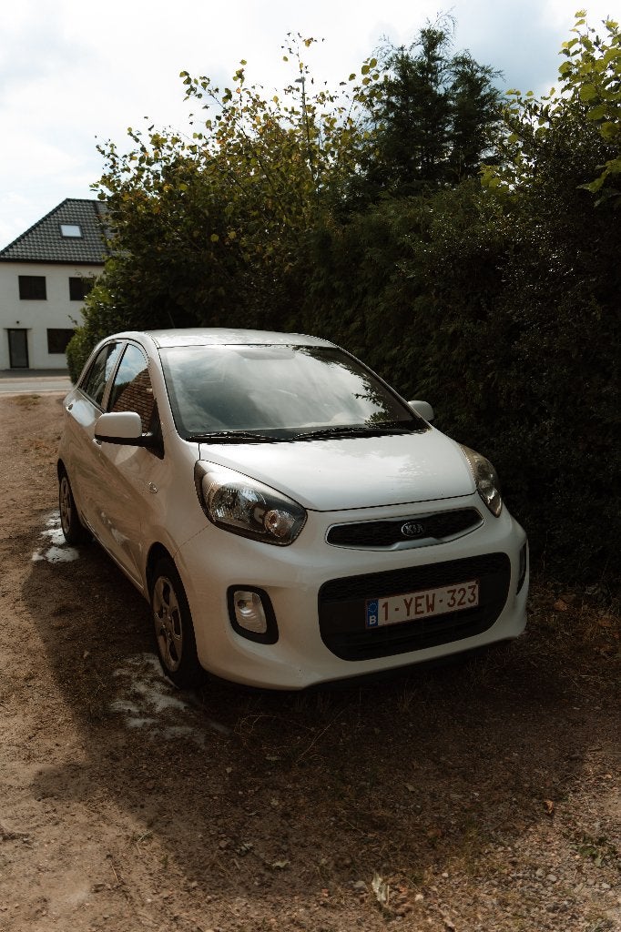 KIA PICANTO, Voorwielaandrijving, Stof, Wit, 5 deurs