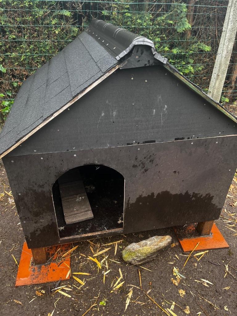 Kippenhok te koop, Ophalen, Zo goed als nieuw, Kippenhok of Kippenren
