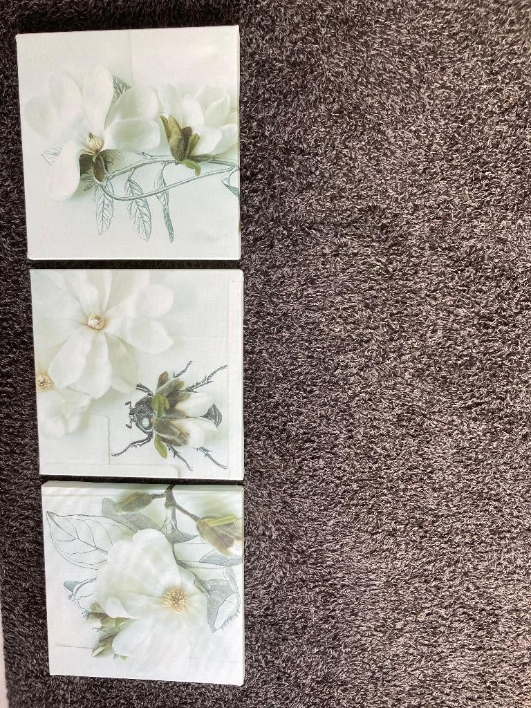 3 Ikea bloemen schilderijen., Huis en Inrichting, Ophalen, Zo goed als nieuw