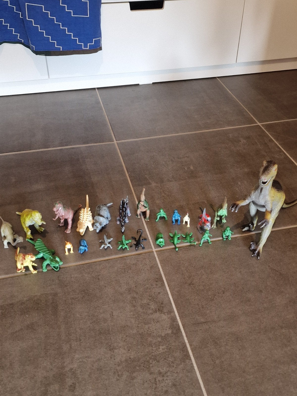Collection Dino variée, Enlèvement