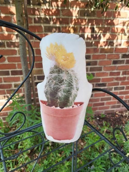 Trendy Cactus Deurstopper (Wagon Trend) – Zo goed als nieuw!, Huis en Inrichting, Woonaccessoires | Deurstoppers, Ophalen
