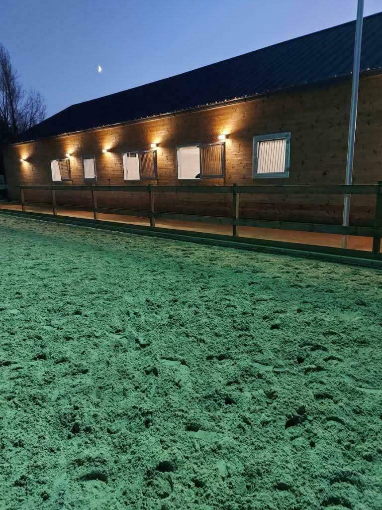 1 plaats vrij op pensionstalling, Dieren en Toebehoren, Stalling, 1 paard of pony