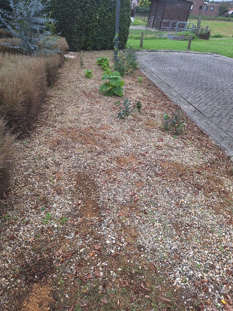 Gratis kiezelsteentjes / split te Brecht +/-3 m³, Tuin en Terras, Ophalen, Gebruikt, Split
