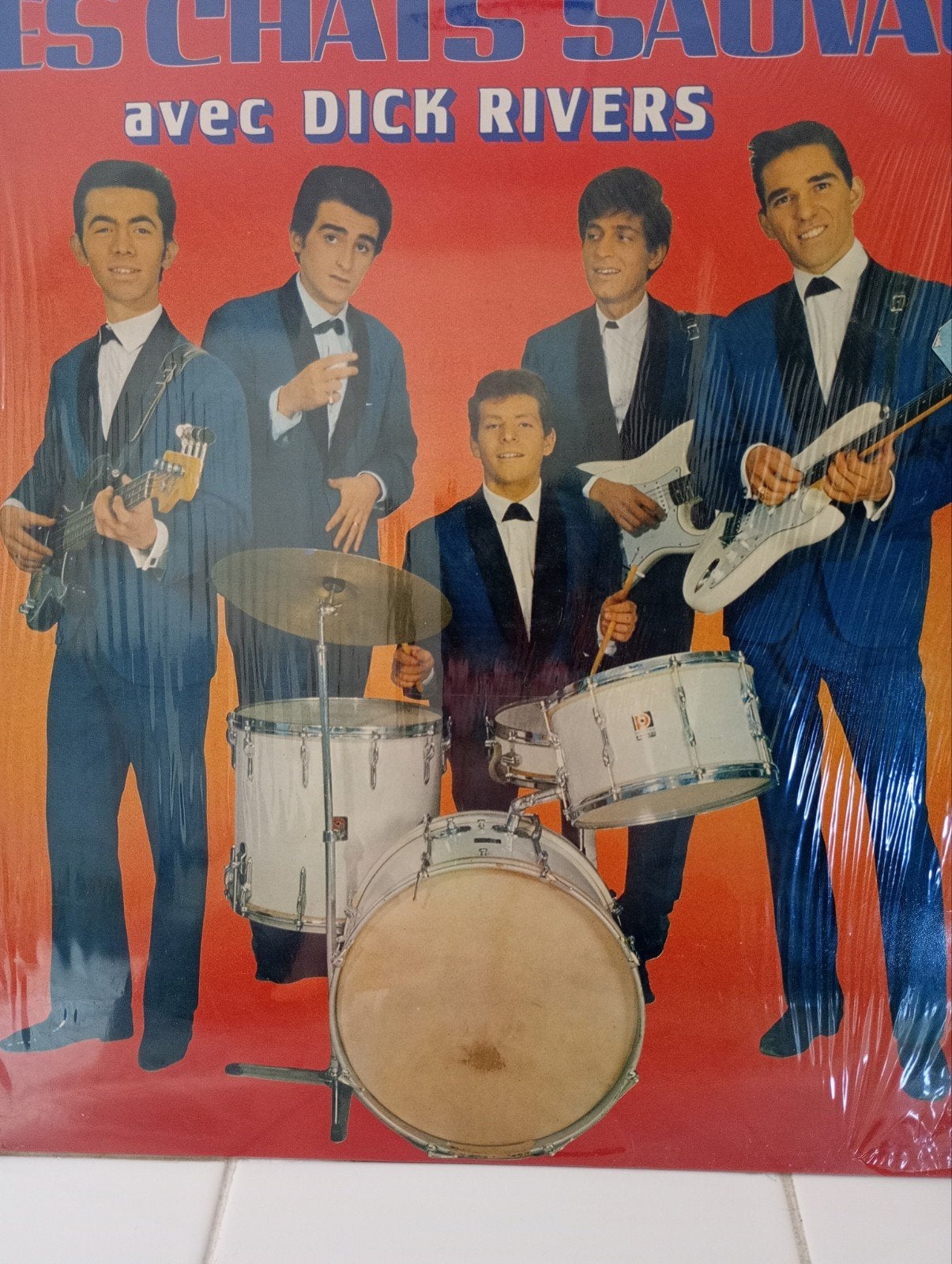 Vinyle les chats sauvages, Enlèvement