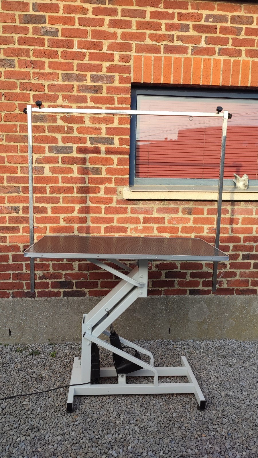 Table de toilettage électrique, Ophalen, Gebruikt, Trimtafel