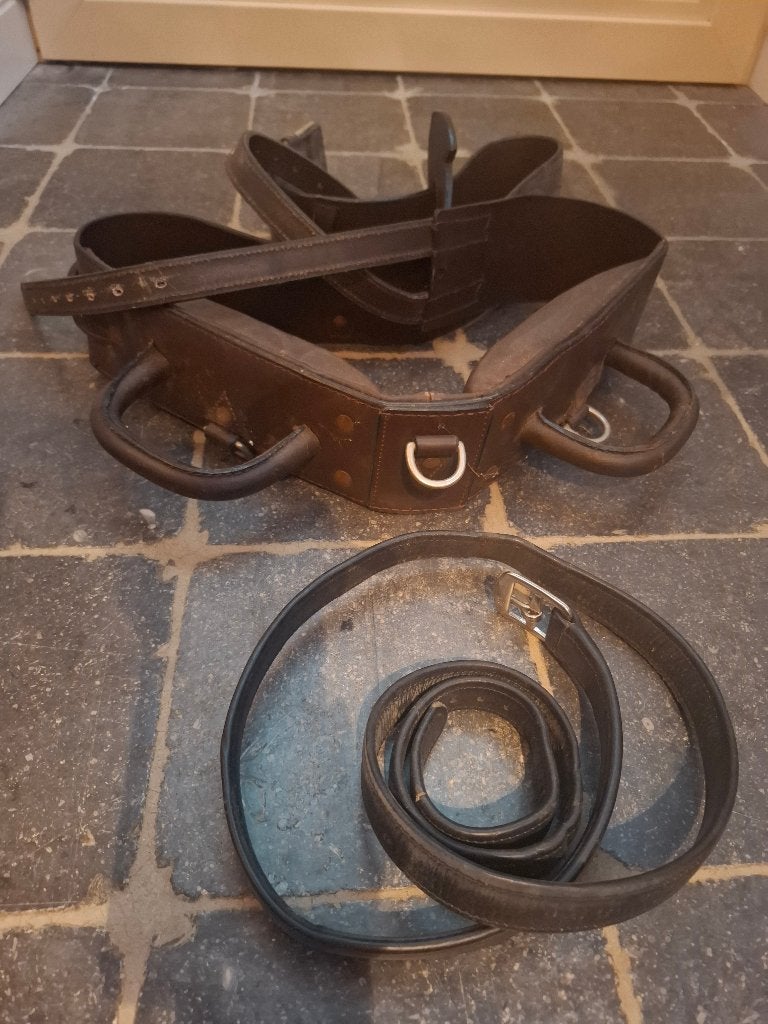 Voltigesingel, Dieren en Toebehoren, Bruin, Ophalen of Verzenden, Zo goed als nieuw, Singel