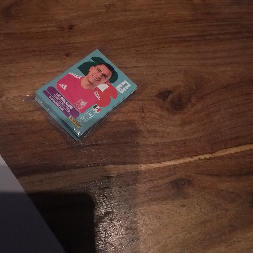 Panini wk 2026, Ophalen of Verzenden