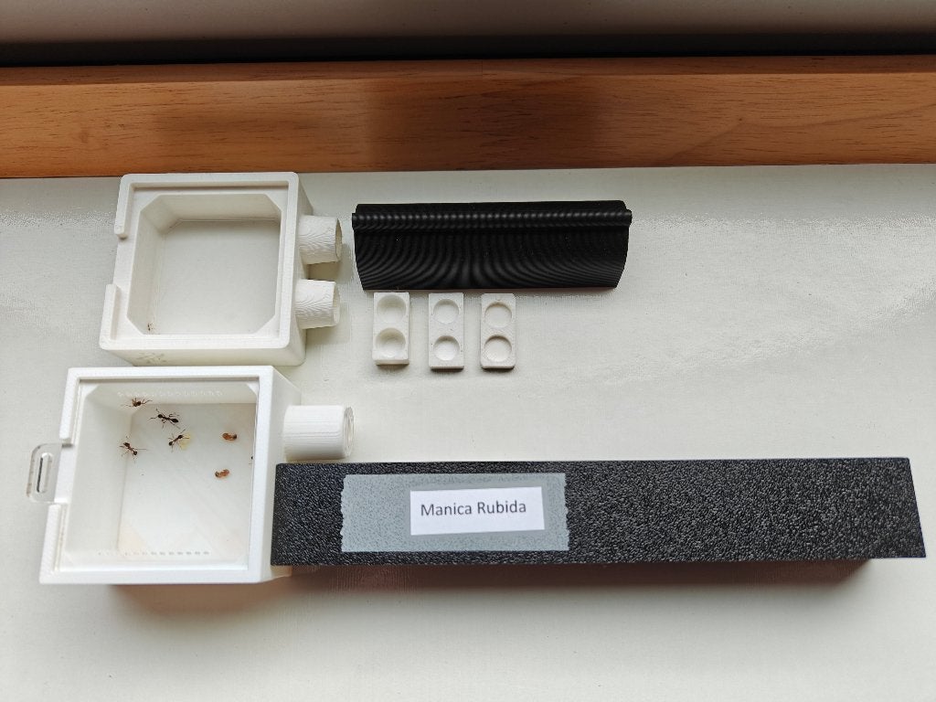 Manica Rubida, Dieren en Toebehoren, Insecten en Spinnen, Mieren