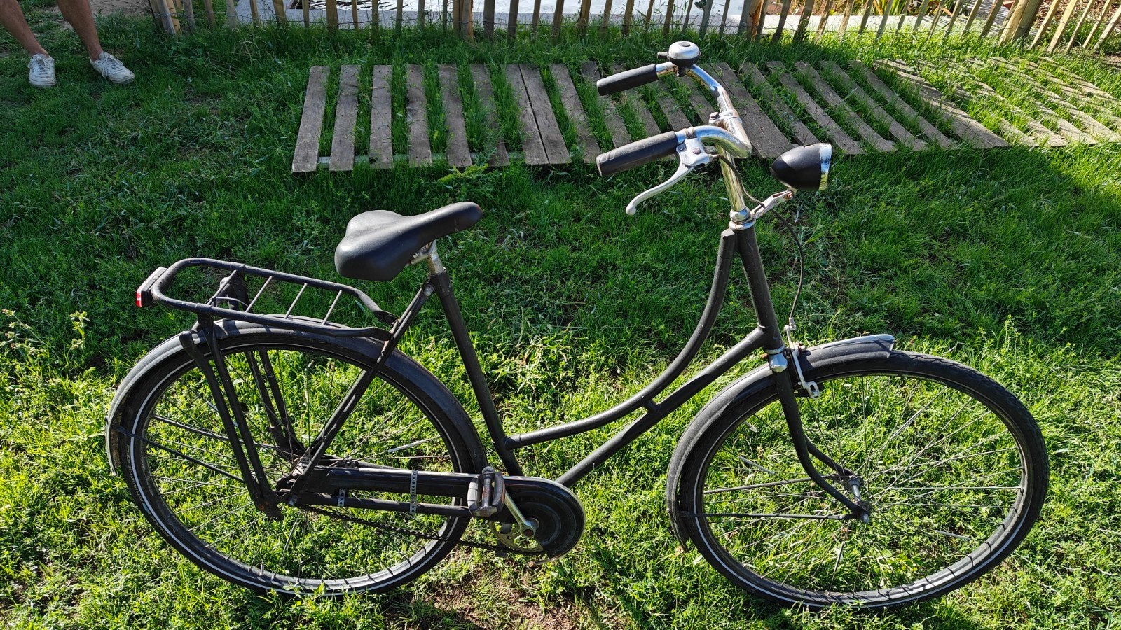 Damesfiets, Enlèvement, Frein à rétropédalage
