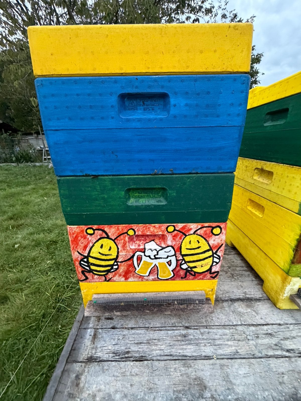 Beginnend imker zoekt imkermateriaal, Bijen