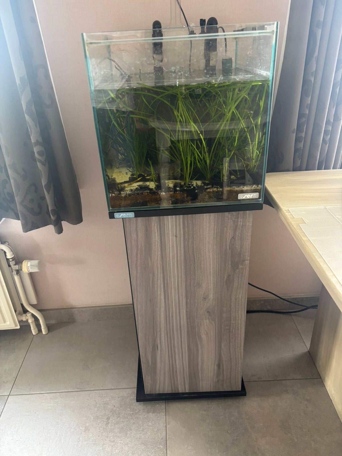 Aquarium inclusief toebehoren, Ophalen, Inclusief toebehoren, Gebruikt