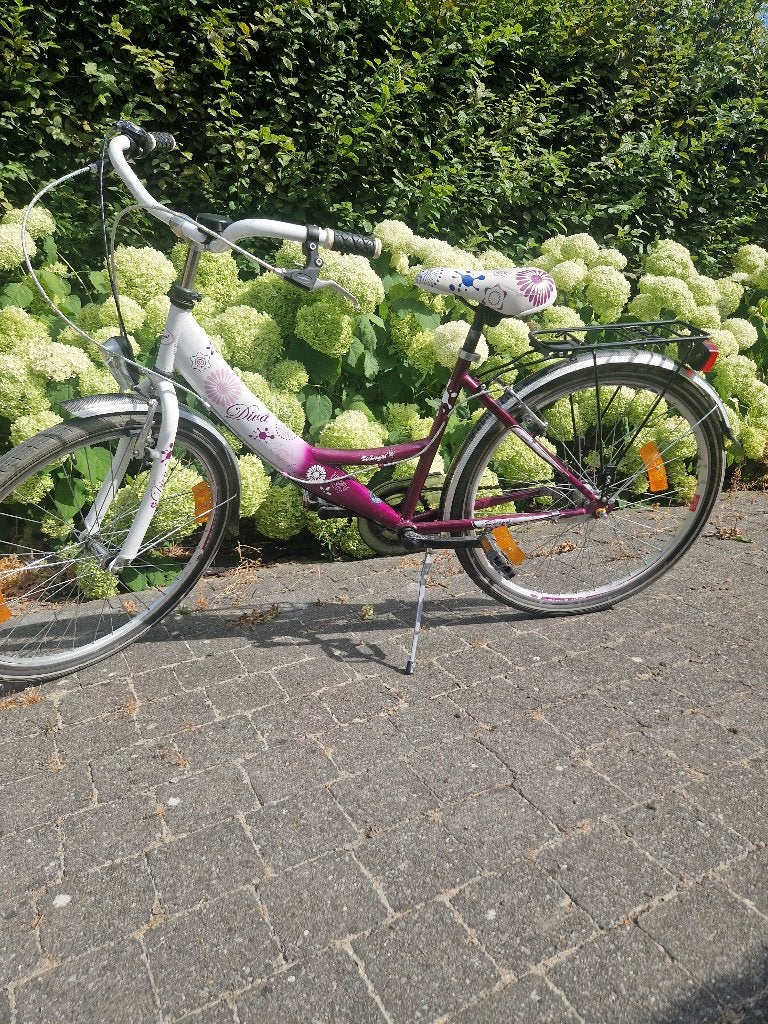 meisjesfiets, Ophalen, Gebruikt, Handrem