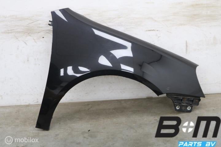 Spatscherm RV VW Golf 5 Hatchback 1K6880682A, Gebruikt